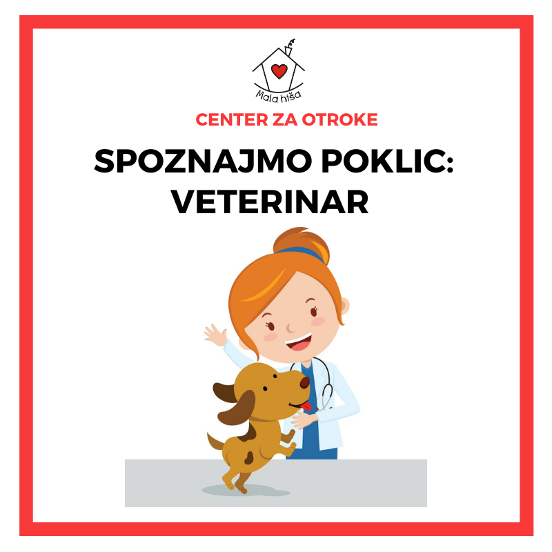Spoznajmo poklic: veterinar (dejavnost za osnovnošolce)