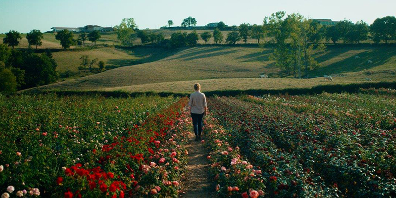Vonj po rožah (komedija ob dnevu žena, filmski abonma)