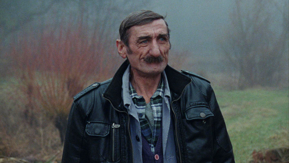 FILMSKI VEČER - OROSLAN