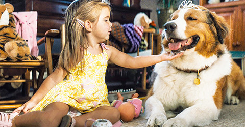 PASJI SMISEL ŽIVLJENJA 2 (družinski film)