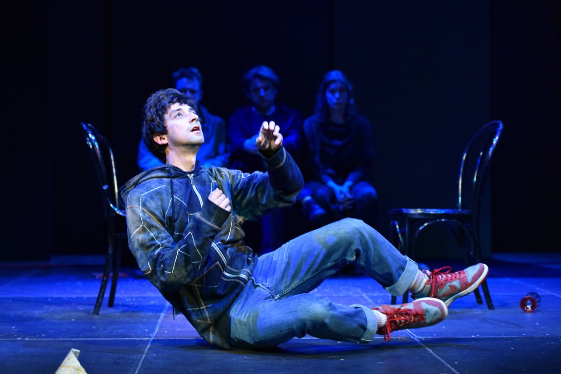 SKRIVNOSTNI PRIMER ali KDO JE UMORIL PSA (gledališki abonma in izven)