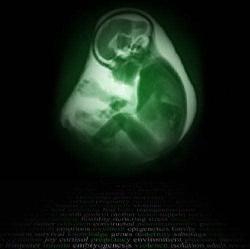 V MATERNICI (dokumentarec ob materinskem dnevu)