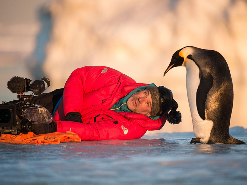 POPOTOVANJE CESARSKEGA PINGVINA 2 (sinhronizirani dokumentarec)