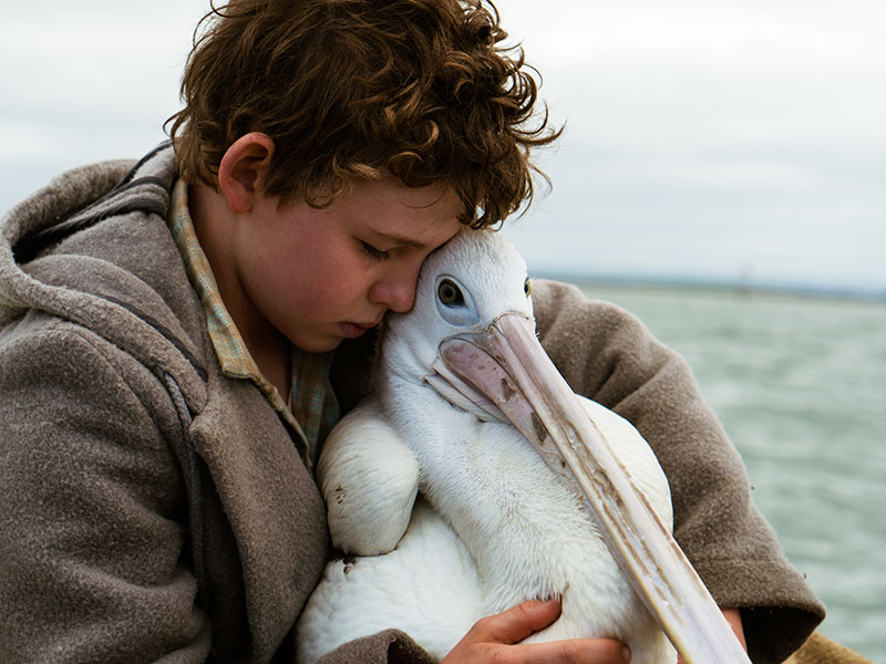 DEČEK NEVIHTE (avstralska drama)