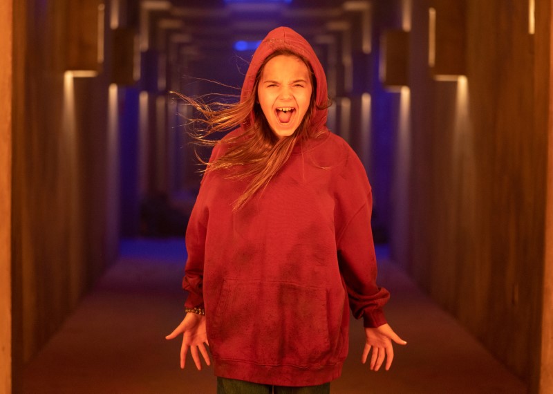 Požigalka (srhljivka)