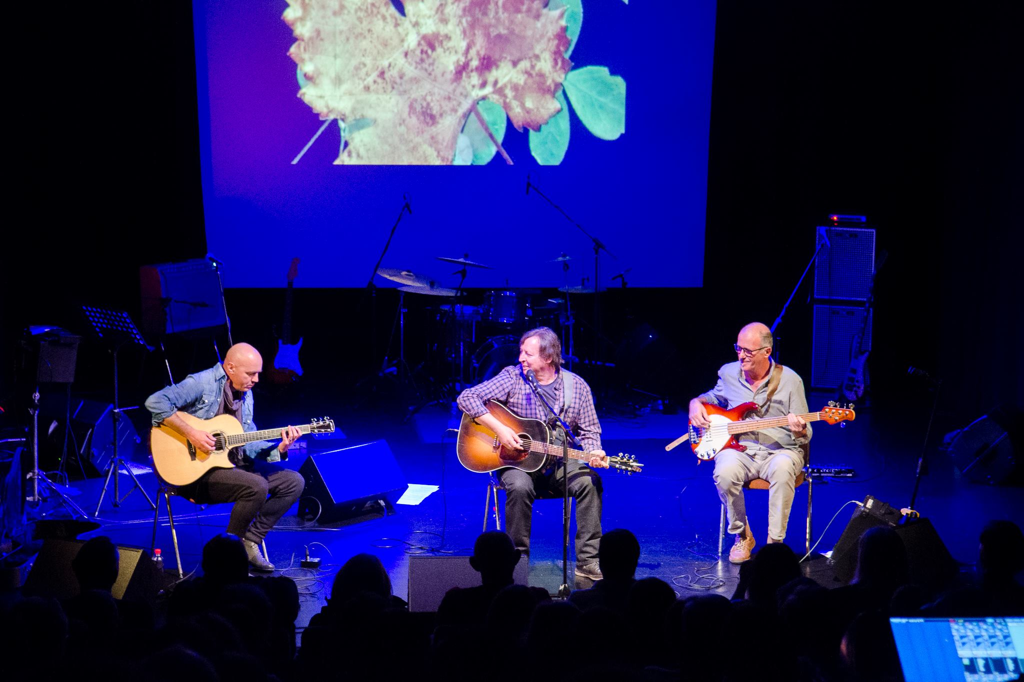 DRAGO MISLEJ MEF IN NOB (koncert)